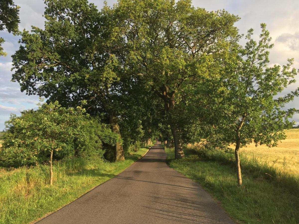 Dat Witte Hus Moritzdorf Ruegen Ferienwohnungen - Ruhige Lage Exteriör bild