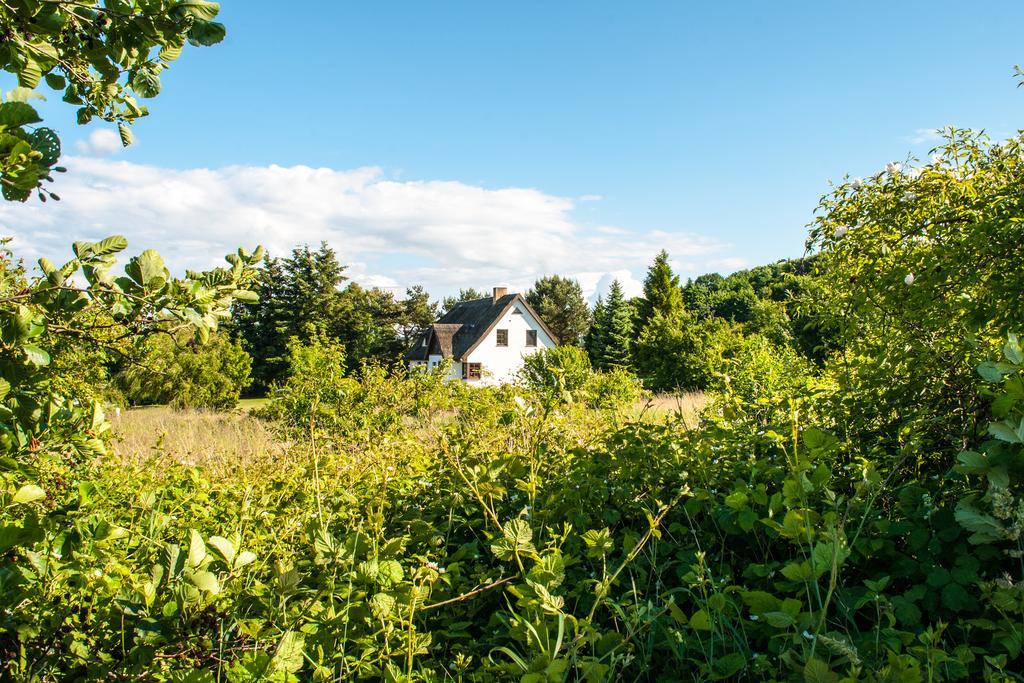 Dat Witte Hus Moritzdorf Ruegen Ferienwohnungen - Ruhige Lage Exteriör bild